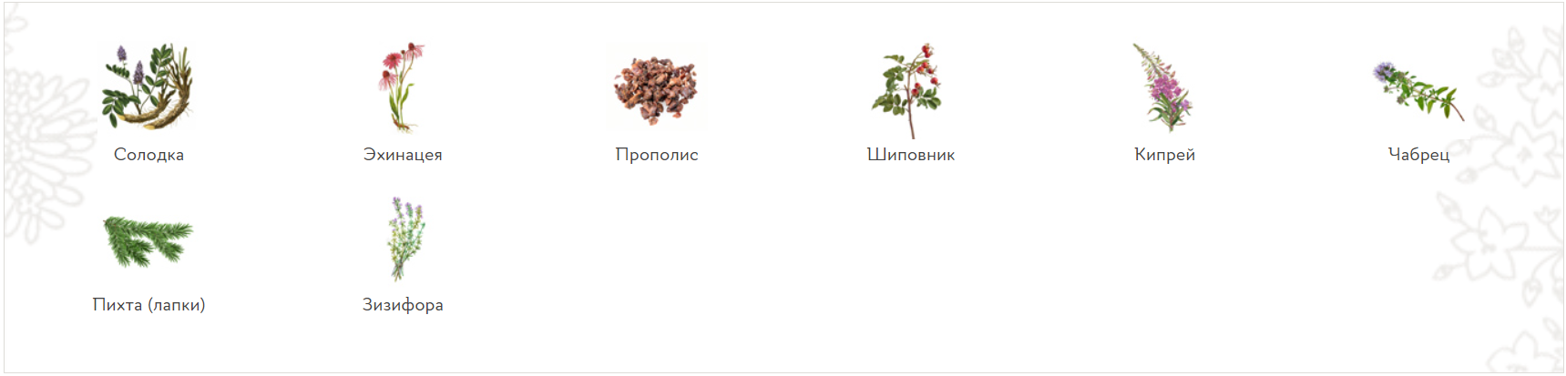 изображение_2023-08-24_220022005