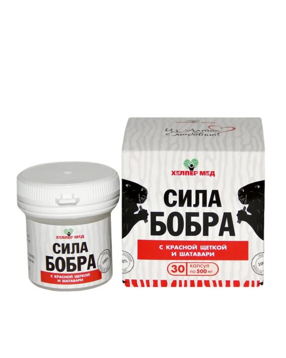 Сила бобра с красной щеткой и шатавари