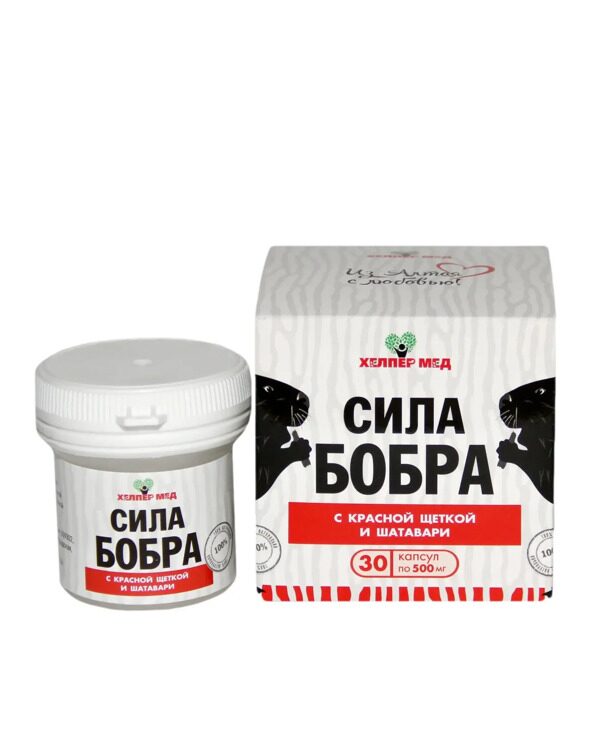 Сила бобра с красной щеткой и шатавари